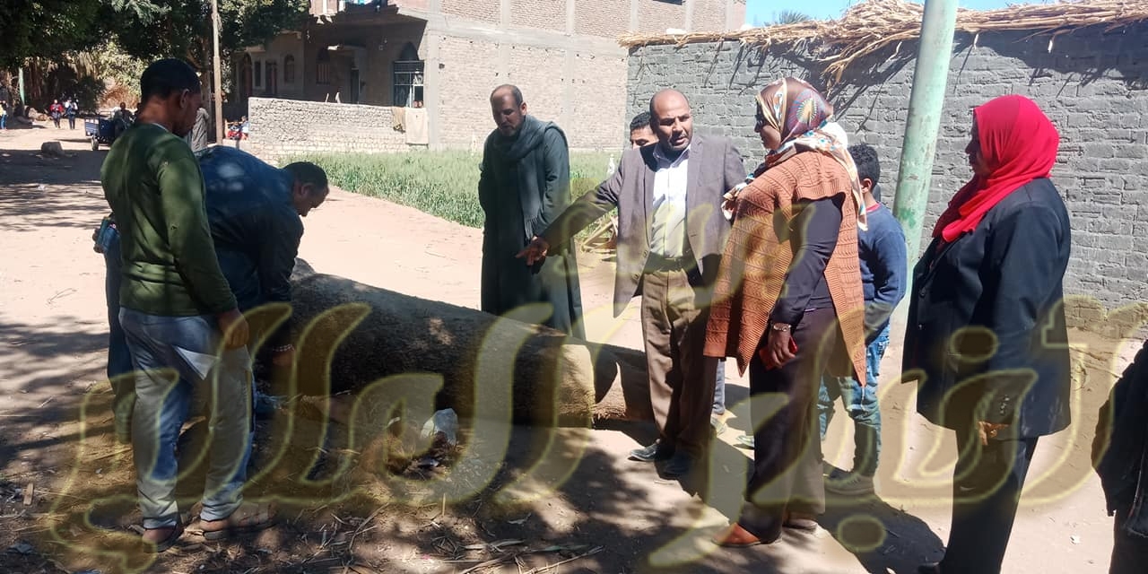 فريده سلام تتفقد قرى مجلس قروى نزلة القاضى بمدينة طهطا