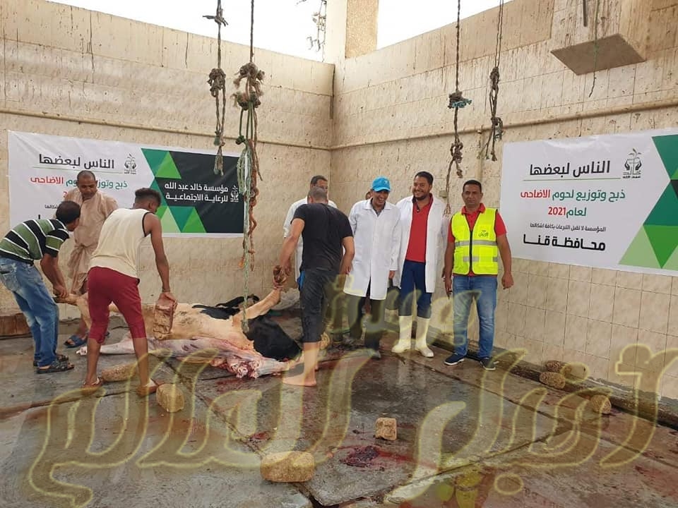 مجازر قنا تستقبل الأضاحي لذبحها بالمجان لليوم الثان