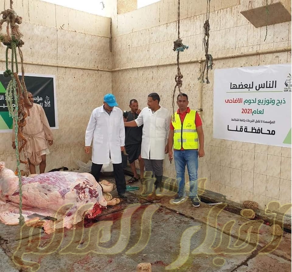 مجازر قنا تستقبل الأضاحي لذبحها بالمجان لليوم الثاني