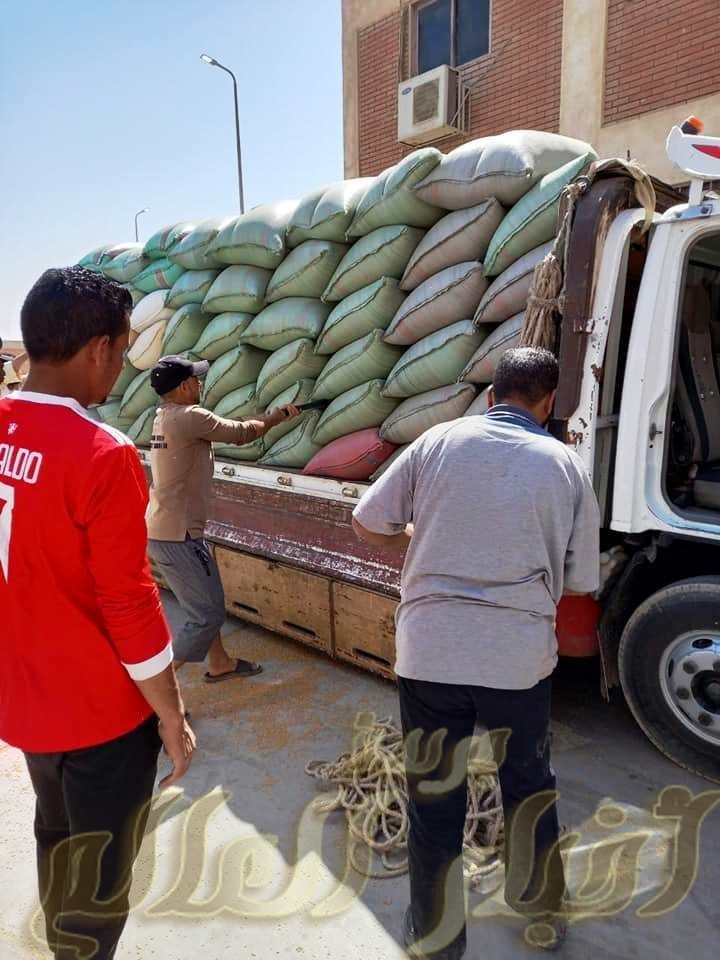 الفقى يتابع موقف توريد محصول القمح للشون والصوامع فى سوهاج